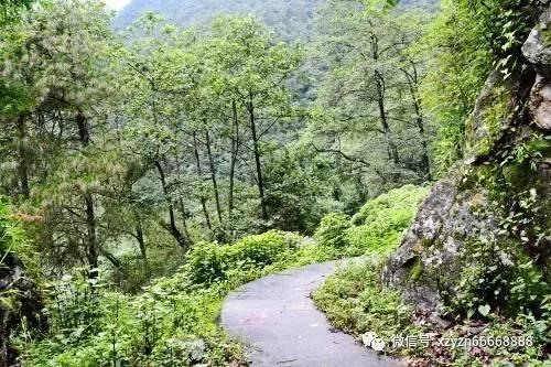 青春礼记